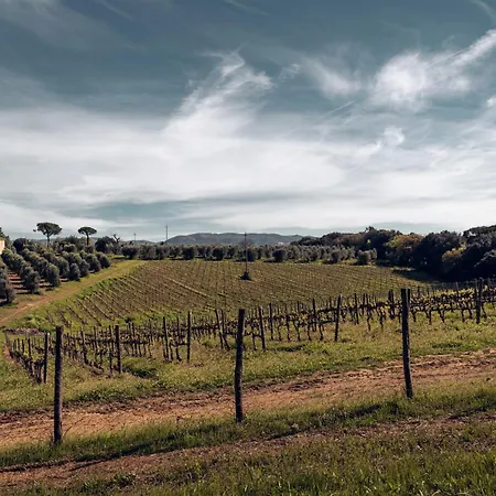 Bolgheri Countryhouse Villa *