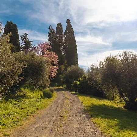 Bolgheri Countryhouse فيلة *