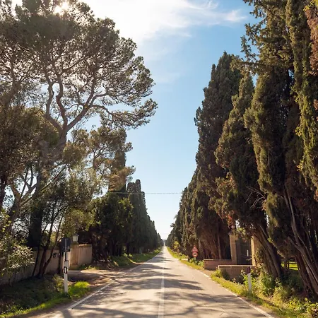 Bolgheri Countryhouse * Болгери