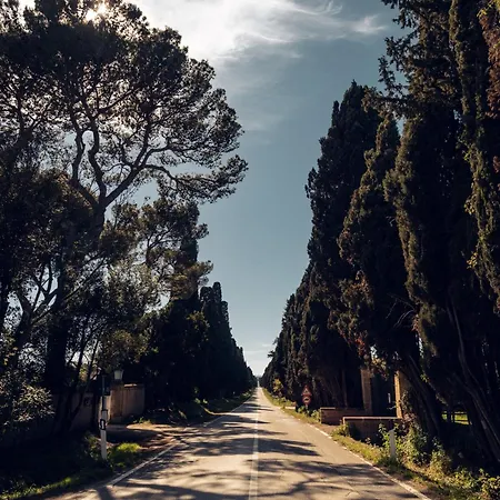 Bolgheri Countryhouse فيلة *