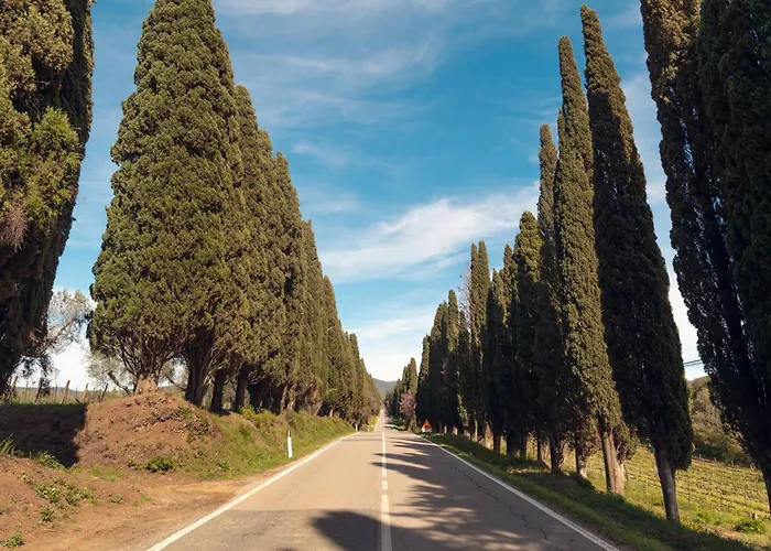 Bolgheri Countryhouse *