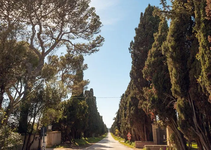 Bolgheri Countryhouse * Bolgheri